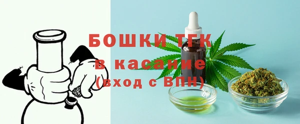 дмт Алексин