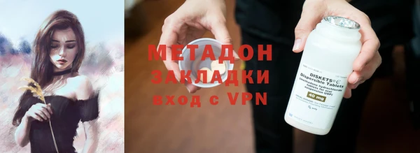 прущие грибы Абаза