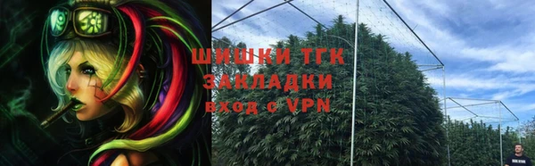 прущие грибы Абаза